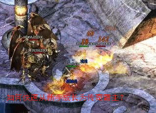 ��ο��ٴ����ֳɳ�Ϊ���������