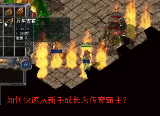 ��ο��ٴ����ֳɳ�Ϊ���������