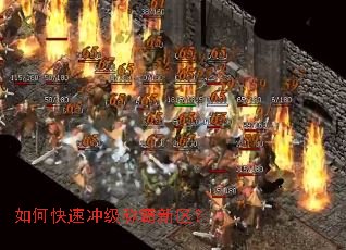 ��ο��ٳ弶�ư�������