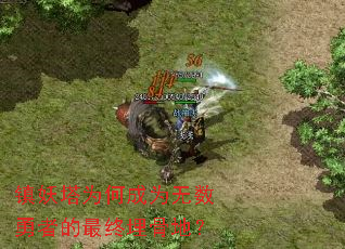 ������Ϊ�γ�Ϊ�������ߵ�������ǵأ�