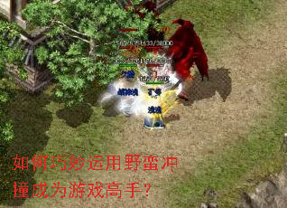 �����������Ұ����ײ��Ϊ��Ϸ���֣�