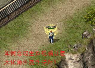 ��κϳ�����ף������󻯽�ɫ����������