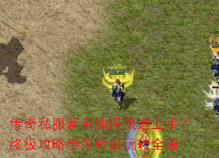 ����˽��������ο������֣��ռ����Դ���������תȫ��