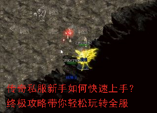 ����˽��������ο������֣��ռ����Դ���������תȫ��