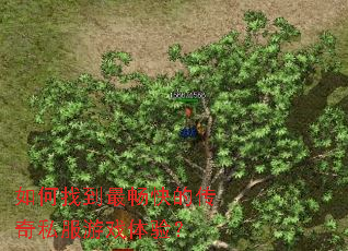 ����ҵ����Ĵ���˽����Ϸ���飿