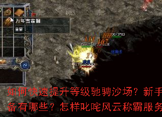 ��ο��������ȼ��۳�ɳ�������ֱر�װ������Щ������߳����ƳưԷ�������