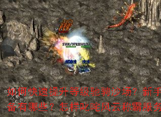 ��ο��������ȼ��۳�ɳ�������ֱر�װ������Щ������߳����ƳưԷ�������