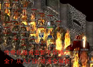 ����˽���ϻ����ֹ��Դ�ȫ�������ŵ���ͨȫ����