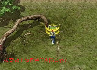 ����սʿ��δ��乥��װ����