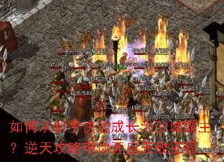 ��δ����ֿ��ٳɳ�Ϊɳ�ǰ��������칥�Դ��㿪���޵�����