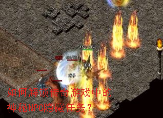 ��ν���������Ϸ�е�����NPC��������