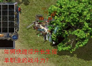 如何快速提升长生摇单职业的战斗力? 如何快速提升长生摇单职业的战斗力?