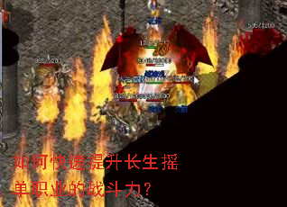 如何快速提升长生摇单职业的战斗力? 如何快速提升长生摇单职业的战斗力?
