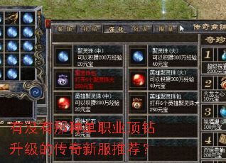 有没有那种单职业顶钻升级的传奇新服推荐? 有没有那种单职业顶钻升级的传奇新服推荐?
