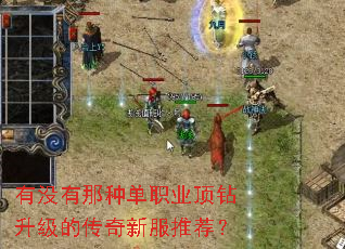 有没有那种单职业顶钻升级的传奇新服推荐? 有没有那种单职业顶钻升级的传奇新服推荐?