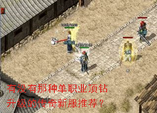 有没有那种单职业顶钻升级的传奇新服推荐? 有没有那种单职业顶钻升级的传奇新服推荐?