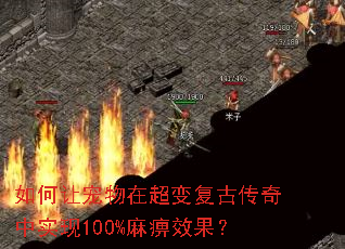 如何让宠物在超变复古传奇中实现100%麻痹效果? 如何让宠物在超变复古传奇中实现100%麻痹效果?