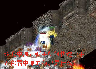 逐鹿中原:新手如何快速上手?称霸中原的秘诀是什么? 逐鹿中原:新手如何快速上手?称霸中原的秘诀是什么?