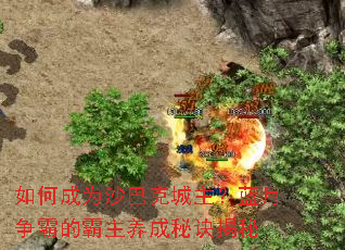 如何成为沙巴克城主?蓝月争霸的霸主养成秘诀揭秘 如何成为沙巴克城主?蓝月争霸的霸主养成秘诀揭秘