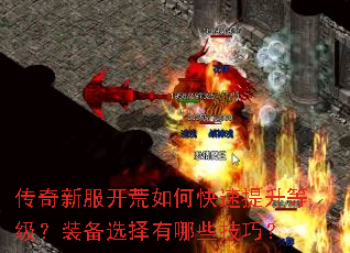 �����·�������ο��������ȼ���װ��ѡ������Щ���ɣ�