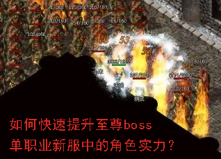��ο�����������boss��ְҵ�·��еĽ�ɫʵ����