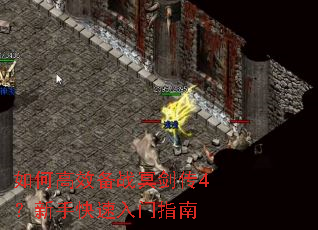 如何高效备战冥剑传4?新手快速入门指南 如何高效备战冥剑传4?新手快速入门指南