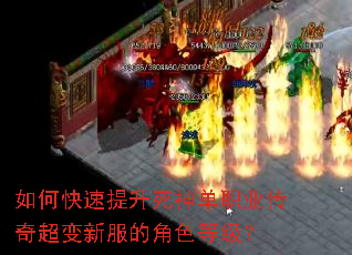 如何快速提升死神单职业传奇超变新服的角色等级? 如何快速提升死神单职业传奇超变新服的角色等级?