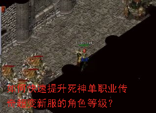 如何快速提升死神单职业传奇超变新服的角色等级? 如何快速提升死神单职业传奇超变新服的角色等级?
