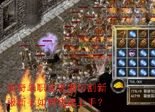传奇单职业送满切割新服新手如何快速上手? 传奇单职业送满切割新服新手如何快速上手?