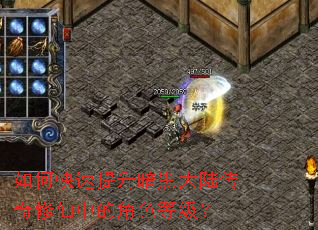 如何快速提升暗黑大陆传奇修仙中的角色等级? 如何快速提升暗黑大陆传奇修仙中的角色等级?
