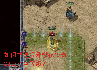 如何快速提升樱花传奇2003角色等级? 如何快速提升樱花传奇2003角色等级?