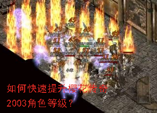 如何快速提升樱花传奇2003角色等级? 如何快速提升樱花传奇2003角色等级?