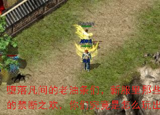堕落凡间的老油条们,新服里那些不可告人的禁断之欢,你们究竟是怎么玩出花的? 堕落凡间的老油条们,新服里那些不可告人的禁断之欢,你们究竟是怎么玩出花的?