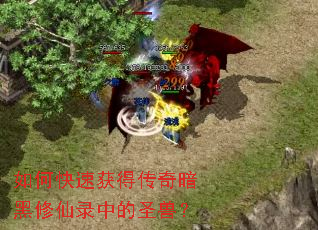 如何快速获得传奇暗黑修仙录中的圣兽? 如何快速获得传奇暗黑修仙录中的圣兽?