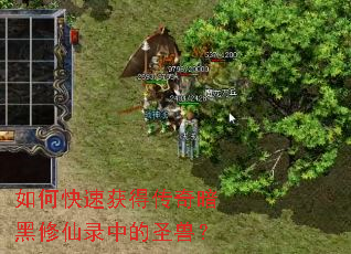 如何快速获得传奇暗黑修仙录中的圣兽? 如何快速获得传奇暗黑修仙录中的圣兽?