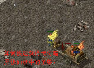 如何快速获得传奇暗黑修仙录中的圣兽? 如何快速获得传奇暗黑修仙录中的圣兽?