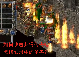 如何快速获得传奇暗黑修仙录中的圣兽? 如何快速获得传奇暗黑修仙录中的圣兽?