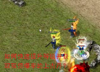 如何快速提升等级并获取双倍爆率的上古丹? 如何快速提升等级并获取双倍爆率的上古丹?