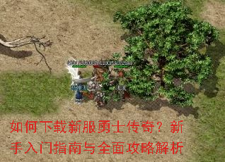 ��������·���ʿ���棿��������ָ����ȫ�湥�Խ���