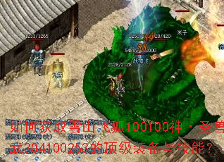 如何获取雪山飞狐100100神·圣兽·玄武304100253的顶级装备与技能? 如何获取雪山飞狐100100神·圣兽·玄武304100253的顶级装备与技能?