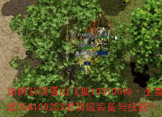 如何获取雪山飞狐100100神·圣兽·玄武304100253的顶级装备与技能? 如何获取雪山飞狐100100神·圣兽·玄武304100253的顶级装备与技能?