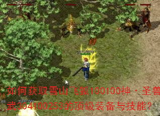 如何获取雪山飞狐100100神·圣兽·玄武304100253的顶级装备与技能? 如何获取雪山飞狐100100神·圣兽·玄武304100253的顶级装备与技能?
