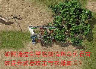 如何通过剑甲铭刻消耗命运石有效提升武器攻击与衣服血量? 如何通过剑甲铭刻消耗命运石有效提升武器攻击与衣服血量?