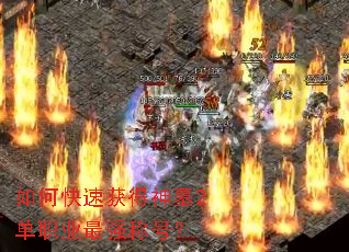 ��ο��ٻ����Ĺ2��ְҵ��ǿ�ƺţ�