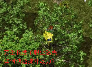 万圣长期单职业迷失如何快速提升战力? 万圣长期单职业迷失如何快速提升战力?