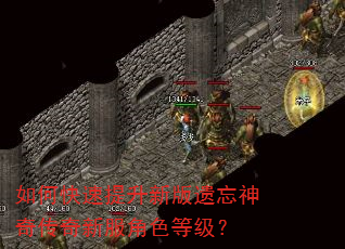 如何快速提升新版遗忘神奇传奇新服角色等级? 如何快速提升新版遗忘神奇传奇新服角色等级?