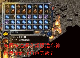 如何快速提升新版遗忘神奇传奇新服角色等级? 如何快速提升新版遗忘神奇传奇新服角色等级?