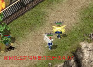 如何快速获得珍兽并提升战斗力? 如何快速获得珍兽并提升战斗力?