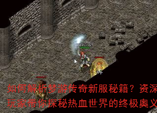 如何解析梦游传奇新服秘籍?资深玩家带你探秘热血世界的终极奥义 如何解析梦游传奇新服秘籍?资深玩家带你探秘热血世界的终极奥义