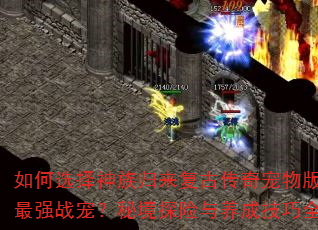 ���ѡ������������Ŵ��������е���ǿս�裿�ؾ�̽�������ɼ���ȫ����